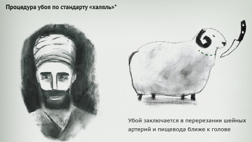 Халяльный баран на Курбан-байрам